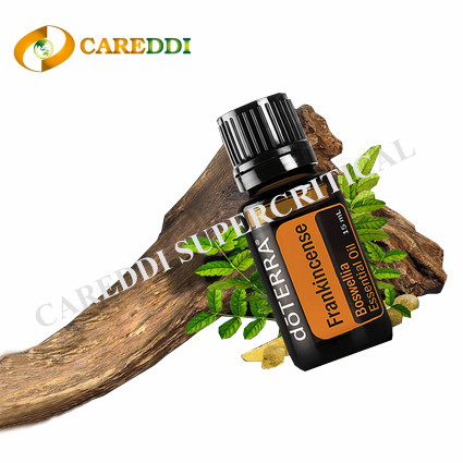 Frankincense Essential Oil Supercritical CO2 Extraction
